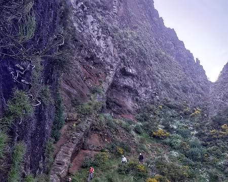 037 À l'ombre du Pico Torres