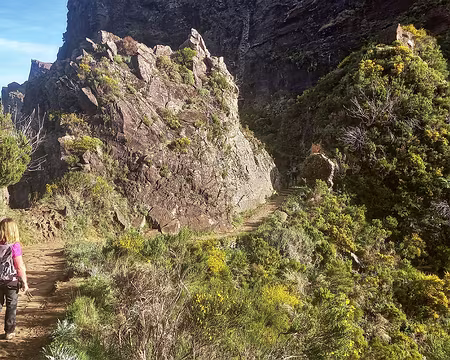 039 Ajoncs et genêts d'Espagne couvrent la montagne.