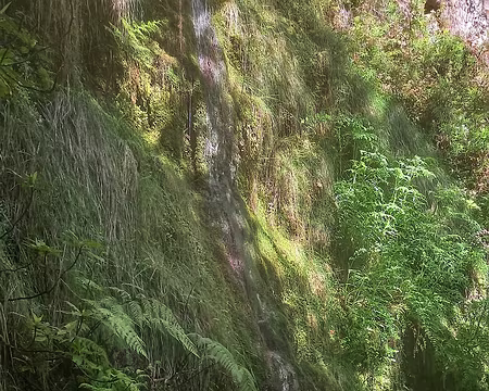 060 Levada do Furado