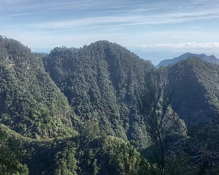 065 Vers le Nord, la vallée de Porto da Cruz et Penha Aguia.