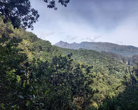 071 Échappée vers les sommets.