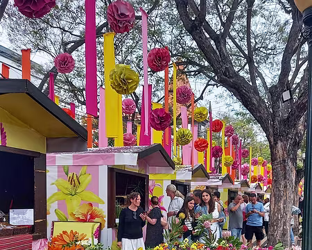 082 C'est la fête des fleurs à Funchal.