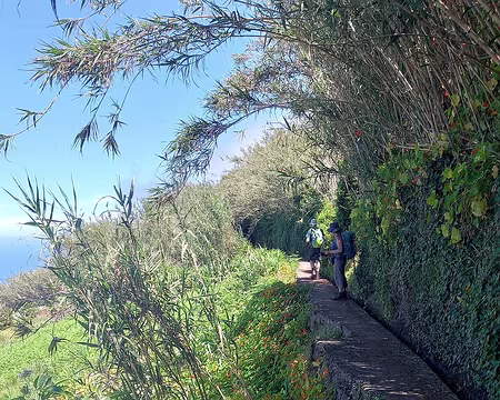 093 Levada dos Pombais, vers 450m d'altitude.