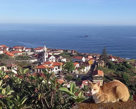 104 Toujours bien placés.