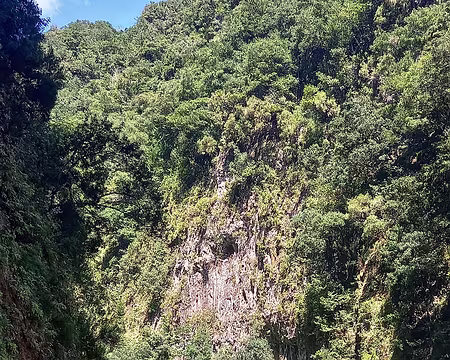 116 Après un tunnel de 300m de long, vue vers l'entrée du tunnel.