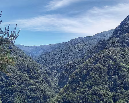 118 Au dessus de la Ribeira da Janela.