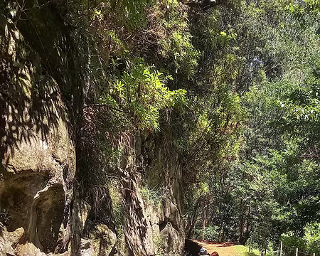 119 Rafraîchissement