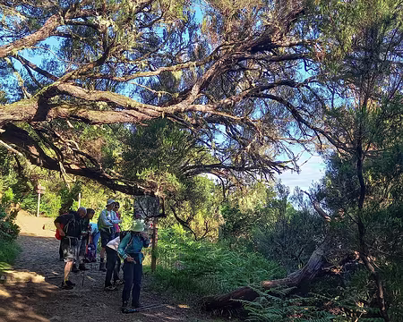 125 Sur le chemin des 25 Fontaines.