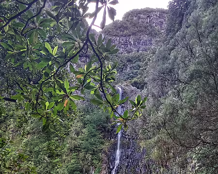 126 Cascade do Risco.