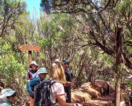 148 Pause au croisement sur la levada do Alecrim.