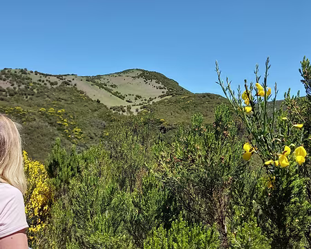 149 Vue sur le plateau de Paul situé entre 1400 et 1600m d'altitude.