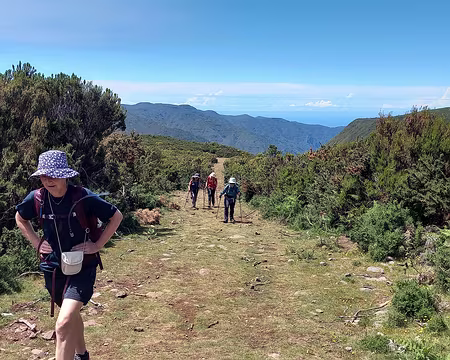 151 Une sente nous mène sur le plateau, 1350m.