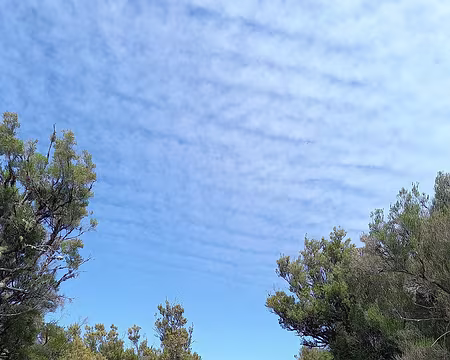 152 Le long d'une levada récente