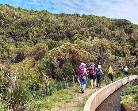 153 Levada do Pico da Urze. Solitude garantie.