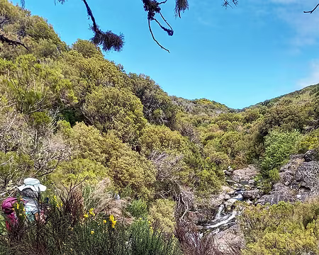 154 Serions-nous perdus? Voici une rivière : Ribeira do Lajeado.