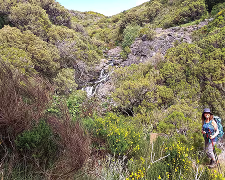 155 Lolie, c'est par où?