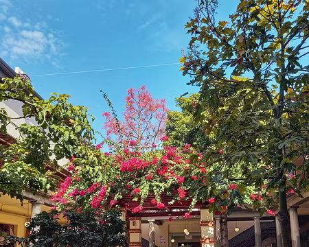 167 marché do lavradores