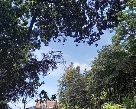 177 jardins de Monte Palace