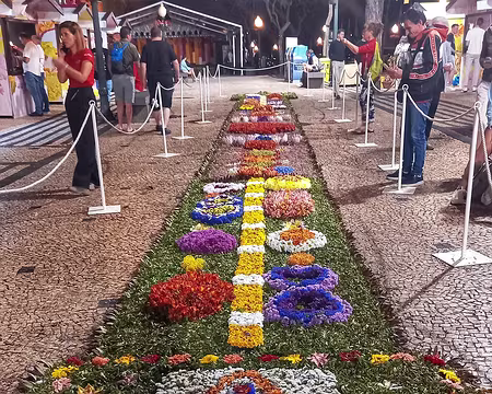 191 Fête des fleurs : Tapis floral, qui change régulièrement.