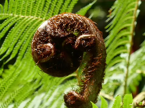 François François G, détail sortie
