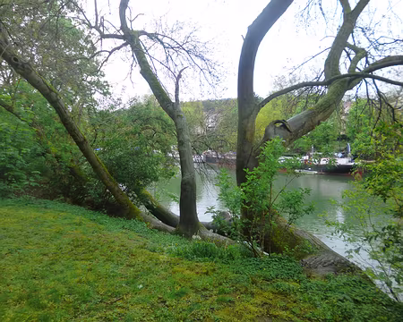 P1160648 Parc de l'île de la Loge (2,5 km de longueur)