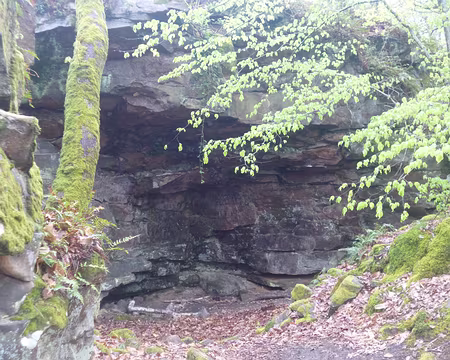 P1160624 Grotte en forêt de Champagne