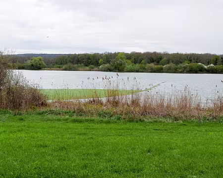 20230410-14h07m41s-P1140735-V3 Le Grand Vivier.