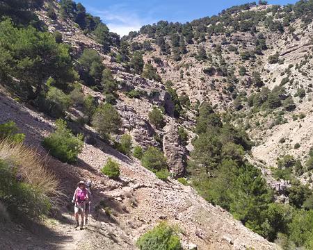 1359eec8-d587-4b84-a00a-0ba47fd89573