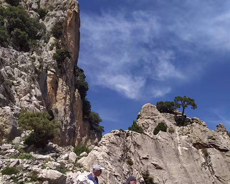 1b48e403-74de-4128-a365-d50559a83dab