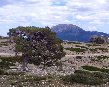 2976f37a-9c80-4078-a3a8-8fd632643012