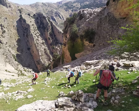 3a200c52-bdf0-4266-8458-1f7ac2999986