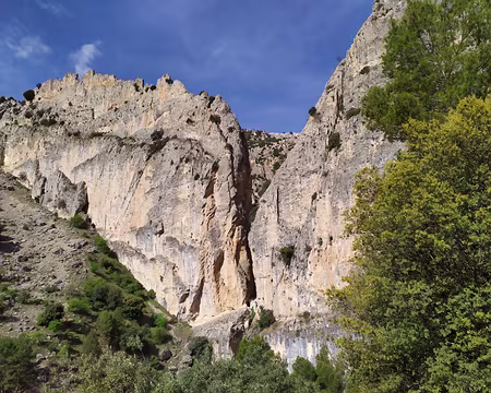 3f473371-2faf-43a0-ab1a-95f9a9d08a5b