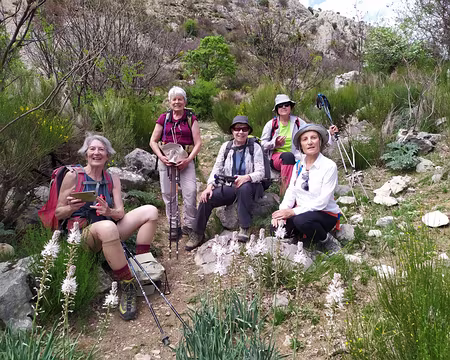 437da4c5-8229-4f7e-927e-555a82cd7ac9