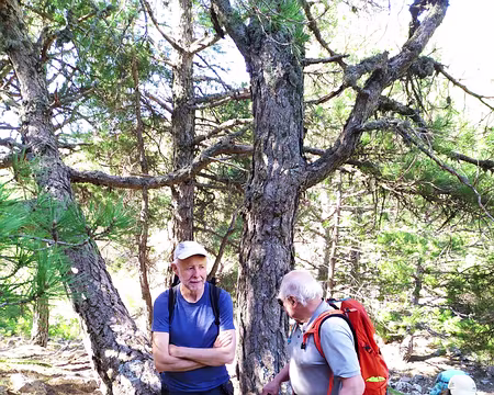 4e2bfcff-7f85-4444-8bf8-e19f5244ac88