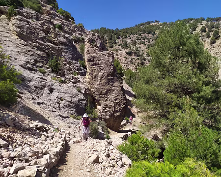 59dffb26-9591-41ed-8997-aea6832943f0