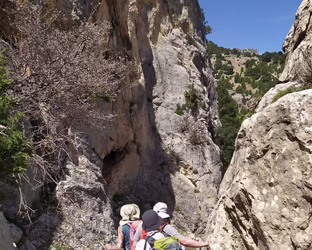 606c1961-b7bb-44c0-884a-3b8b64228711