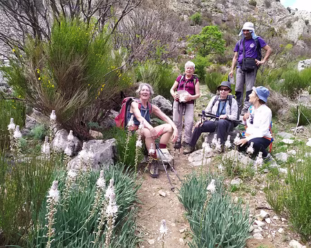 6841b158-1cfc-48b4-88e4-626f99f77100