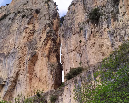 695245ef-35d7-49a7-bd6e-ea984bfb5a21