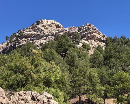 70351450980__316AF6C1-0505-4B05-ACF4-205580B4E8FD