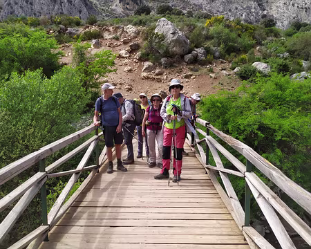 82cd9c33-7ec5-456f-a3b8-86f5eb6dd0f0