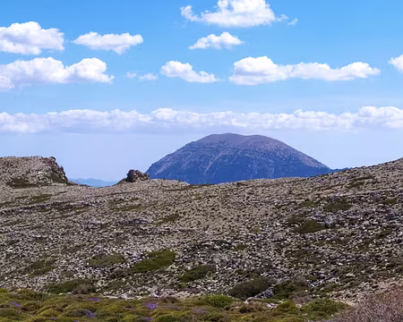 88ccbe3a-8bcc-426e-a80b-6ba9265b4382