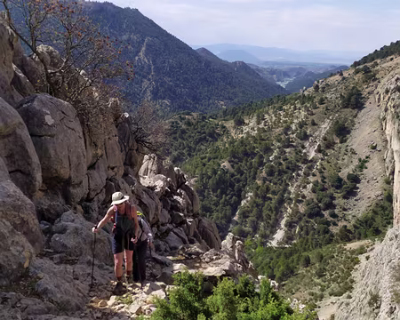 9434f87c-f26e-419b-8299-ca4f43fee509