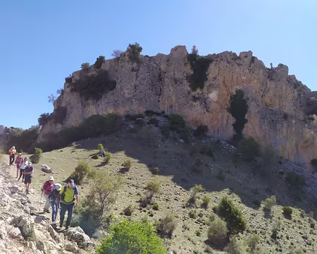 96e47886-17f8-48d2-a7e0-2f8d848c90f9