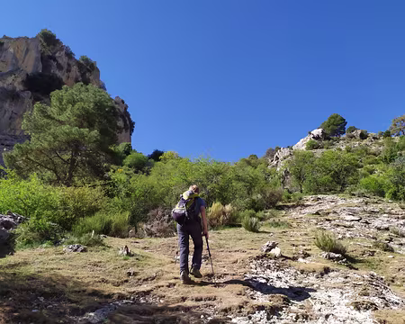 996aefb4-ac38-49ea-8d8c-0700cc12e4c9