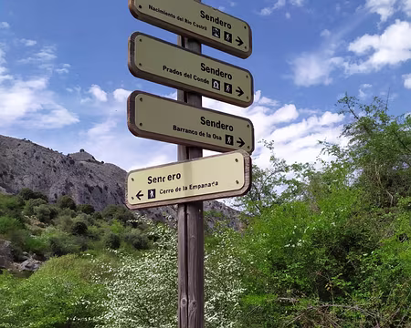 aa101afd-f91c-4ec4-bb0e-75d4decf8bec