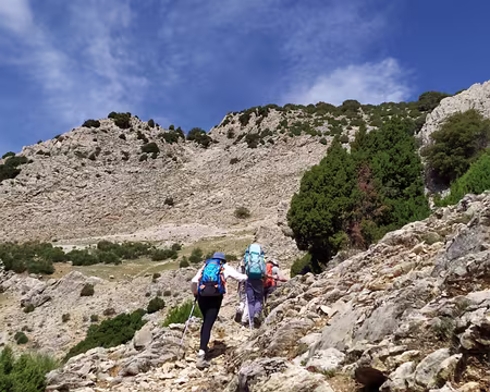 afd9d3d7-83e3-45a2-a95c-cbe4b91651a4