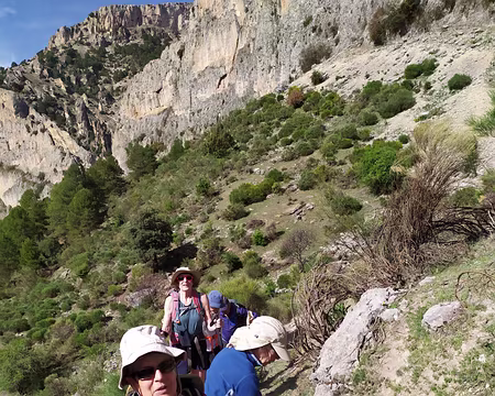 b2185ba3-cf2c-4fbf-9f00-9964b225f3c4