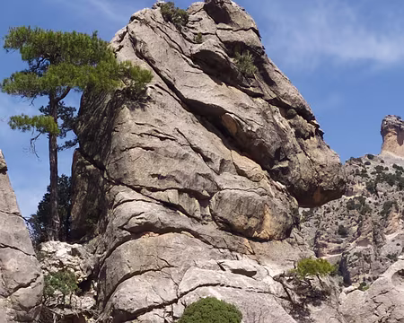 be3493c0-0511-45de-a76a-36d04ed7e924