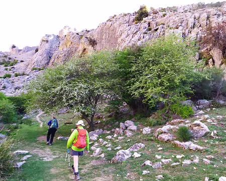 cb7cd99c-5acd-46e8-9529-2d0efaac9c86