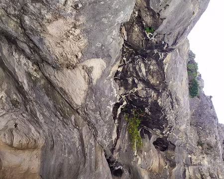 cefe45ff-da57-4afb-9a78-596fd13b12b4